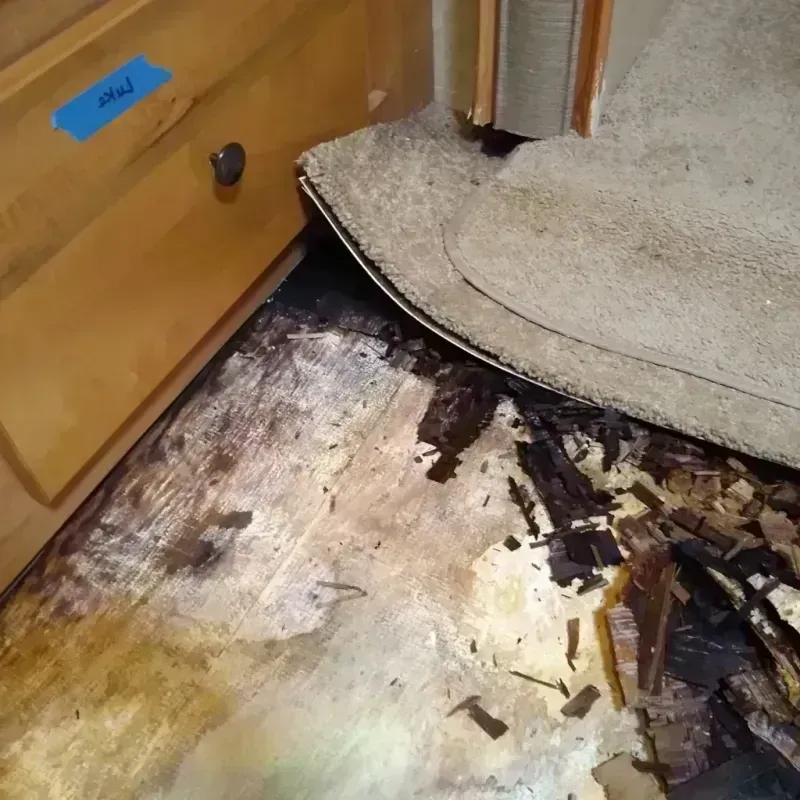 Wood Floor Water Damage in Montgomery, AL